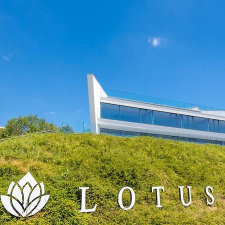 Lotus Luxury Rooms فارنا المظهر الخارجي الصورة